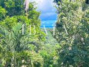 Vente Terrain 14466 m2 Petit bourg