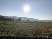 Vente Terrain 1481 m2 Angaïs