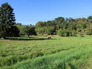 Vente Terrain 1491 m2 Ettendorf