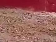 Vente terrain 149 m² à Oujda