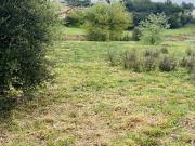 Vente Terrain 1500 m2 Carces