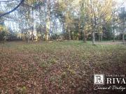 Vente Terrain 1500 m2 Carignan de Bordeaux