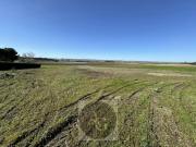 Vente Terrain 1500 m2 Lasbordes
