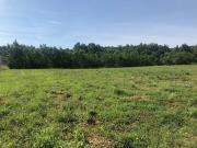 Vente Terrain 1500 m2 Saint Aignan