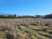 Vente Terrain 1500 m2 Saint Jean de Duras