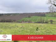 Vente Terrain 1580 m2 Sainte Foy de Peyrolières