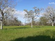 Vente Terrain 1502 m2 Riberac