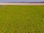 Vente Terrain 1514 m2 Vinets