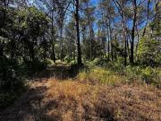 Vente Terrain 1545 m2 Frejus