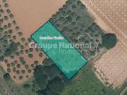 Vente Terrain 1580 m2 Aubignan
