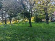 Vente Terrain 1596 m2 Beaumont Saint Cyr