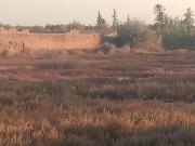 Vente terrain 16000 m² à Marrakech