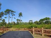 Vente Terrain 1608 m2 Moliets et Maa