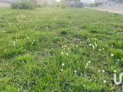 Vente Terrain 1704 m2 Auxerre