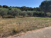 Vente Terrain 170 m2 Vérargues