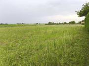 Vente Terrain 1729 m2 Genté Vente Terrain 1729 m2 Genté