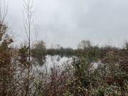 Vente Terrain 17737 m2 Noyers sur Cher