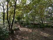 Vente Terrain 1794 m2 Chauzon