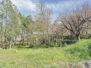 Vente Terrain 1800 m2 Callian