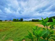 Vente Terrain 1800 m2 Villenave d'Ornon