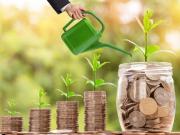 Vente Terrain 181822 m2 Moulon