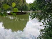 Vente Terrain 18650 m2 Assé le Boisne