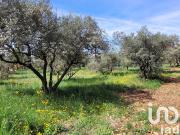 Vente Terrain 1870 m2 Tavernes