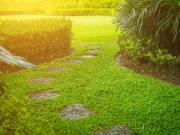 Vente Terrain 1884 m2 Bessines