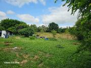 Vente Terrain 1911 m2 Cazères sur l'Adour