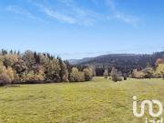 Vente Terrain 19171 m2 Liézey