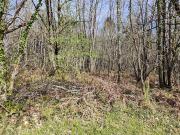 Vente Terrain 1930 m2 Bassillac