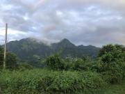 Vente Terrain 19800 m2 Le Morne Vert
