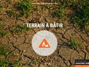 Vente Terrain 1989 m2 La Plaine Des Palmistes