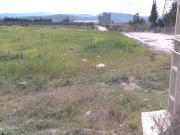 Vente terrain 20000 m² à Tanger