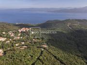 Vente Terrain 2000 m2 Belvédère Campomoro