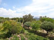Vente Terrain 2000 m2 Le Beausset