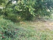 Vente Terrain 2000 m2 Moulon