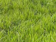 Vente Terrain 204 m2 La Norville