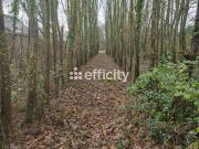 Vente Terrain 2069 m2 Caulnes