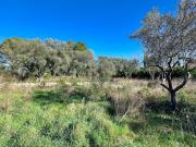 Vente Terrain 2074 m2 Bagnols en Forêt