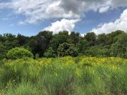 Vente Terrain 2150 m2 Aix en Provence