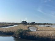 Vente Terrain 22140 m2 Les Sables d'Olonne