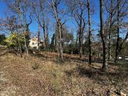 Vente Terrain 2219 m2 Callian