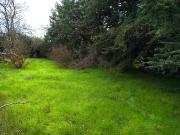 Vente Terrain 2222 m2 Saint Maximin la Sainte Baume