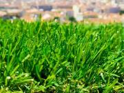 Vente Terrain 224 m2 Champigny sur Marne