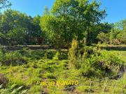 Vente Terrain 2327 m2 Vendays Montalivet