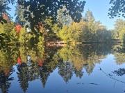 Vente Terrain 23775 m2 Saint Priest sous Aixe