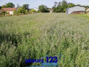 Vente Terrain 2388 m2 Aillant sur Tholon