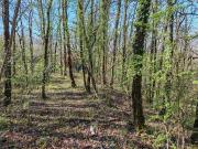 Vente Terrain 2500 m2 Savignac les Eglises Vente Terrain 2500 m2 Savignac les Eglises