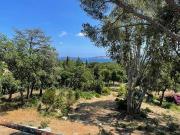 Vente Terrain 2505 m2 Grimaud
